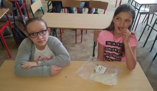 Żyj zdrowo od najmłodszych lat - program edukacyny