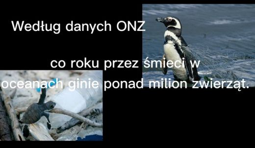 Nasza planeta