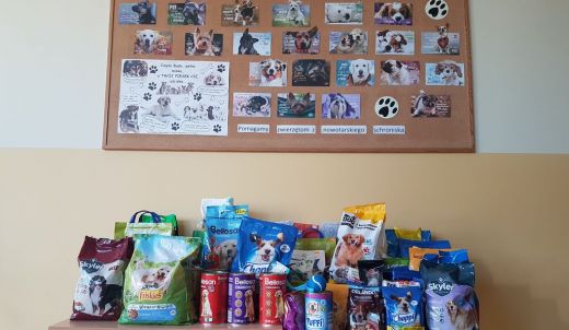 Pomoc dla czworonożnych przyjaciół