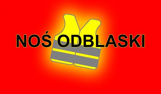 Dzień Odblasków