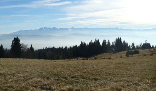 Konkurs "Gorce w Naturze 2000"