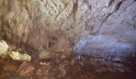 Wycieczka do Ojcowa